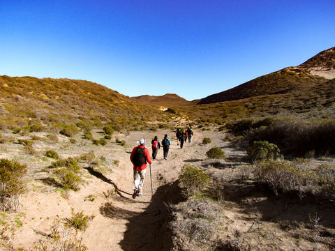 Experiencia Pico Salamanca (Comodoro Rivadavia) x Salvajes Patagonia