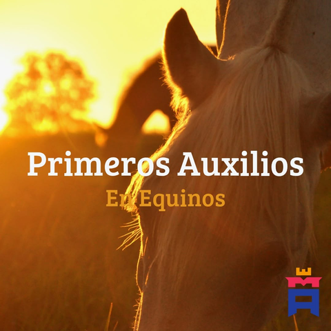 Primeros Auxilios en Equinos