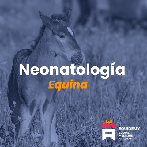 Curso Neonatología equina