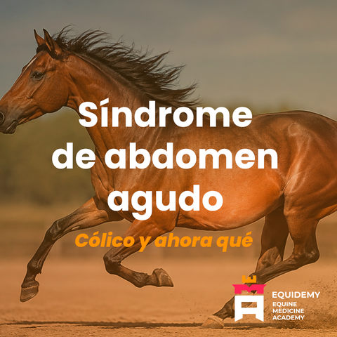  Curso Síndrome de abdomen agudo: Cólico y ahora qué