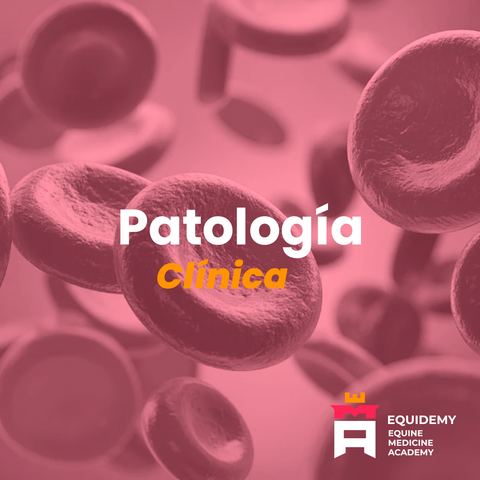 Curso Patología clínica