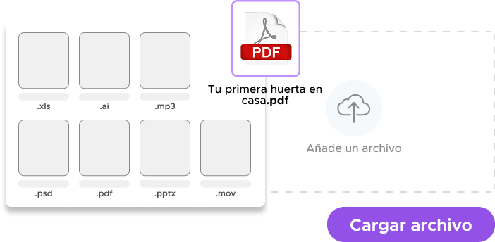 Cargar contenido