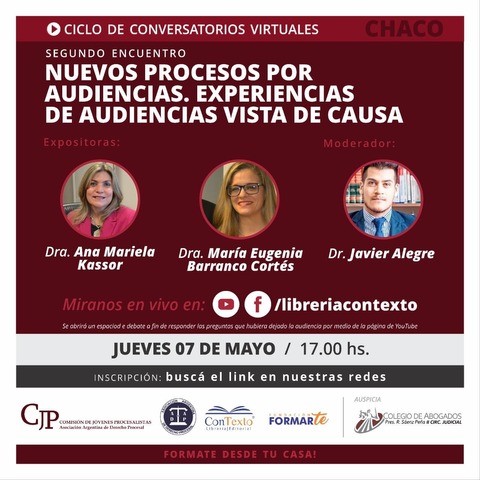 NUEVOS PROCESOS POR AUDIENCIAS