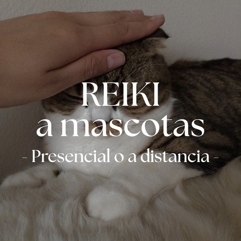 Reiki USUI a Mascotas
