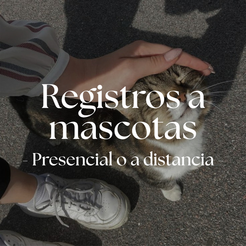 Registros Akashicos a Mascotas