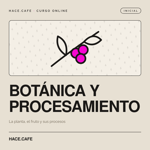 Botánica y procesamiento del café