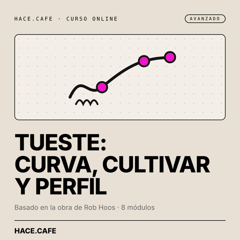 Tueste de café: curva, cultivar y perfil