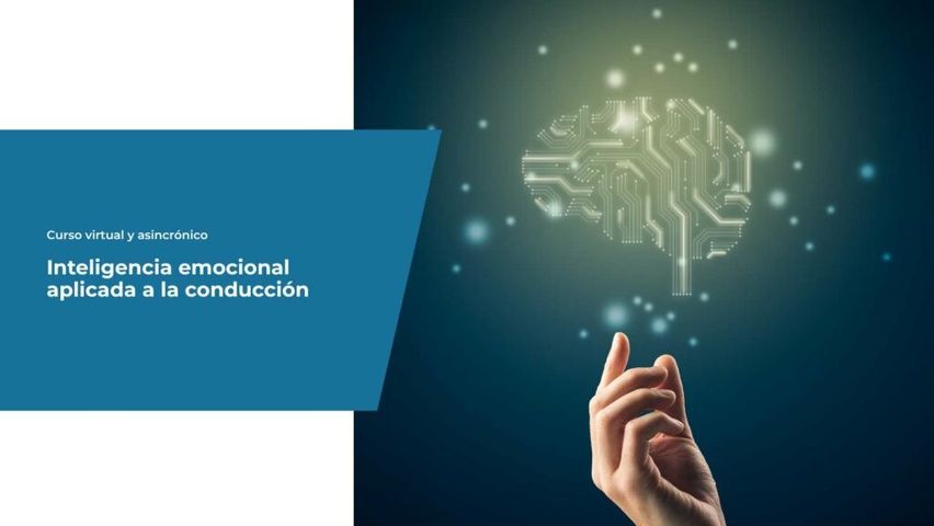 Inteligencia emocional aplicada a la conducción