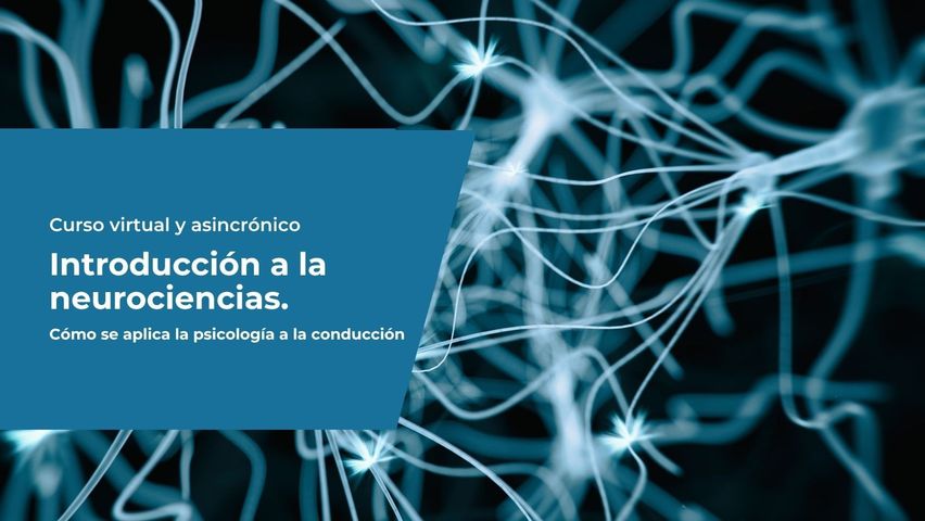 Curso introductorio a la neurociencias. Cómo se aplica la psicología a la conducción