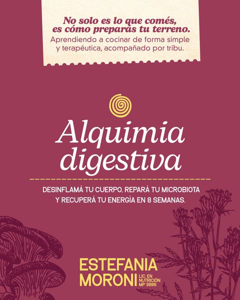 Alquimia Digestiva: Tu Transformación Biológica en 8 Semanas.