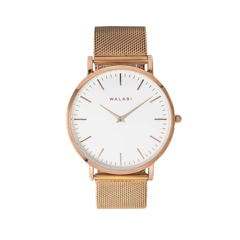 AGNES MESH