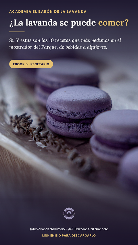 Cocina con Lavanda: Recetas Patagónicas de Autor
