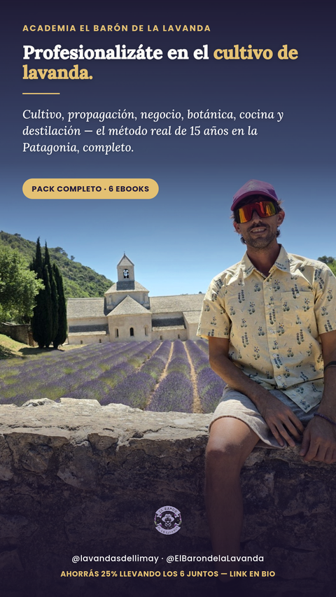 Oferta del pack completo - La Academia Completa — Los 6 títulos