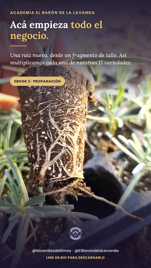 Del Esqueje a la Cosecha: Manual de Propagación