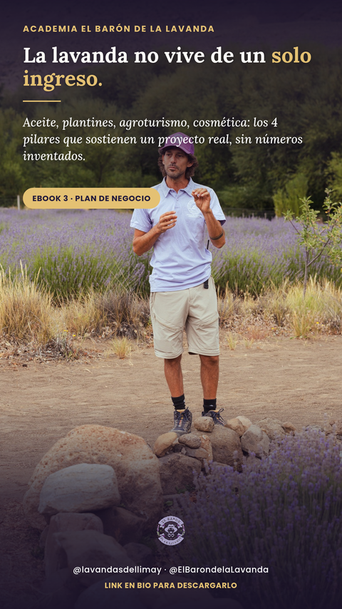 Plan de Negocio para un Emprendimiento de Lavanda