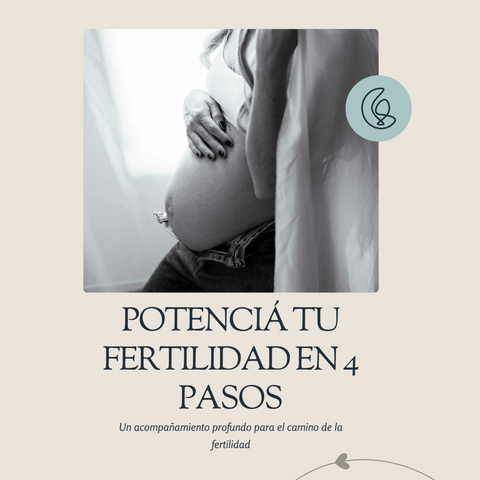 Ebook: Potenciá tu fertilidad en 4 pasos