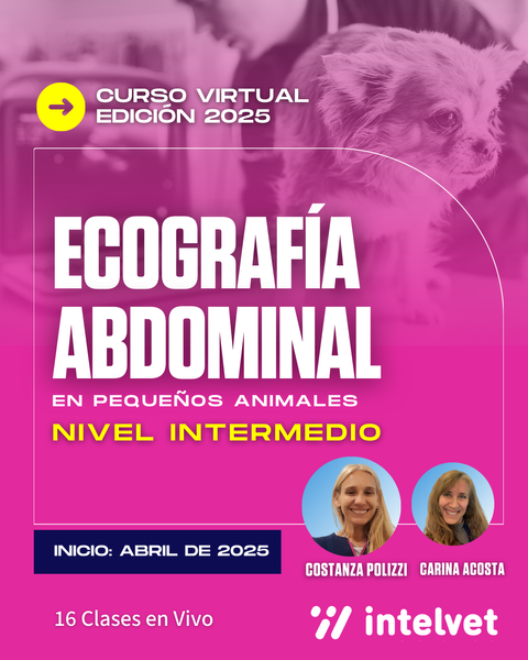 FINALIZADO.  Curso de Ecografía Abdominal Nivel INTERMEDIO - Cohorte 2025 a cargo de Costanza Polizzi