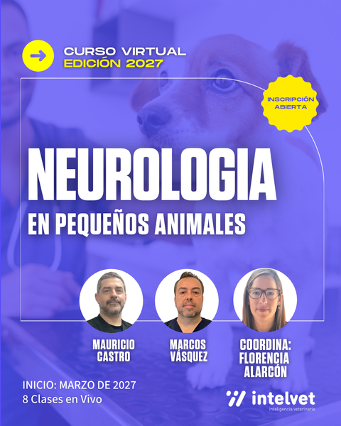 NUEVO 2027! Curso virtual de Neurología en Pequeños Animales 