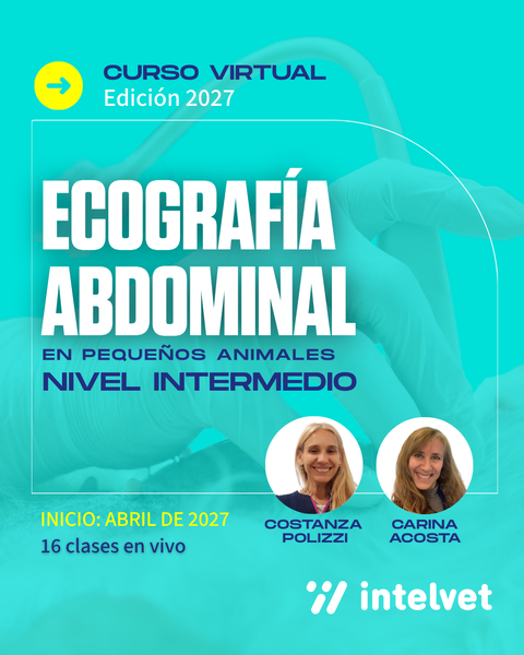 NUEVO! - Edición 2027: Curso de Ecografía Abdominal en Pequeños Animales - Nivel Intermedio