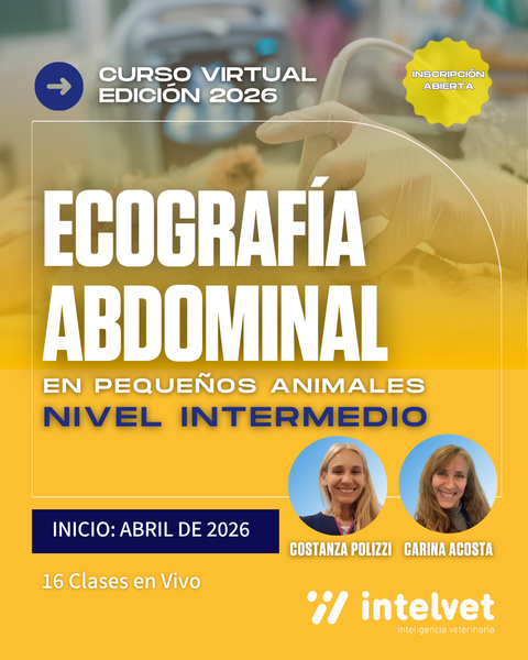 INICIADO. Curso de Ecografía Abdominal Nivel Intermedio a cargo de Costanza Polizzi