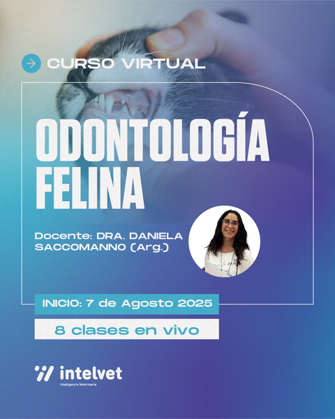 FINALIZADO. Curso de Odontología Felina a cargo de la Dra. Daniela Saccomanno