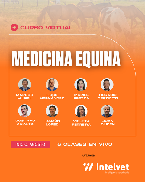 INICIADO! Curso virtual en Medicina Equina 2026
