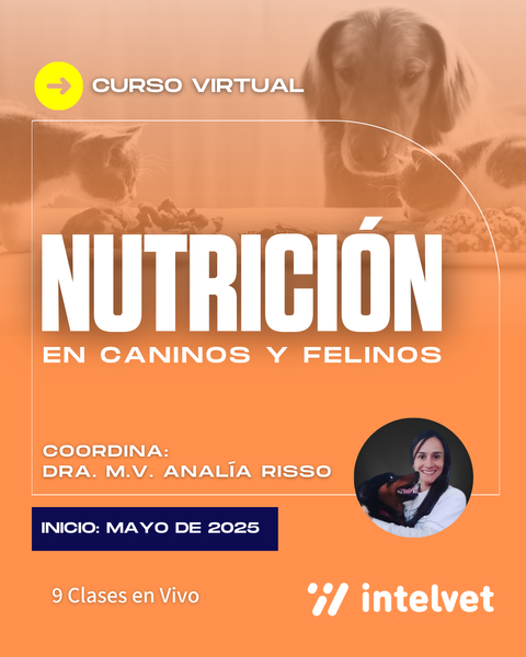 FINALIZADO! Curso de Nutrición en Caninos y Felinos