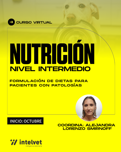 NUEVO! Nutrición en perros y gatos: Formulación de dietas para pacientes con patologías - Nivel Intermedio