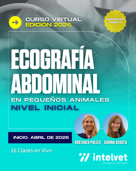 INICIADO. Curso de Ecografía Abdominal Nivel Inicial a cargo de Costanza Polizzi