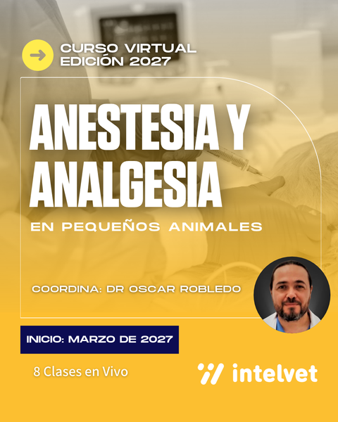 NUEVO! Curso de Anestesia y Analgesia para una práctica clínica segura - Edición 2027