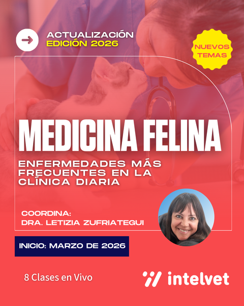 FINALIZADO: Curso de Medicina Felina – Edición 2026 (nuevos temas). Coordina: Letizia Zufriategui