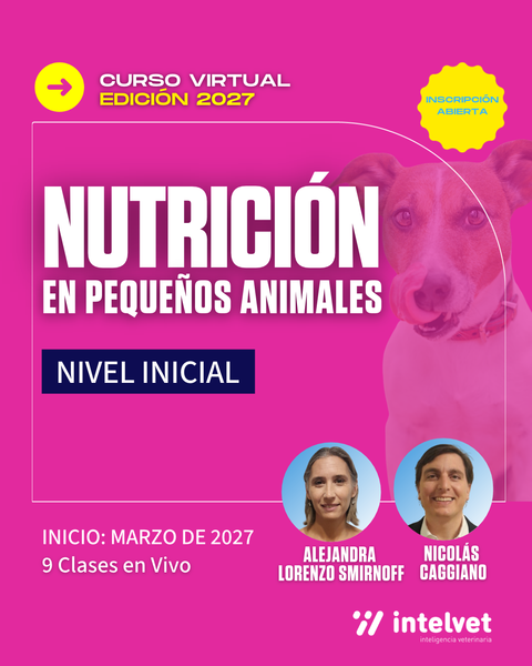 NUEVO! Edición 2027 - Curso de Nutrición en Pequeños Animales - Nivel Inicial  