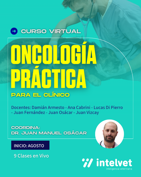 INICIADO! Curso virtual: Oncología Práctica para el Veterinario Clínico