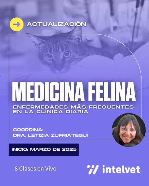 FINALIZADO. Actualización en Medicina Felina: enfermedades más frecuentes en la clínica diaria