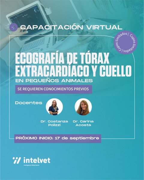 FINALIZADO. Capacitación de Ecografía de Tórax Extracardíaco y Cuello en Pequeños Animales