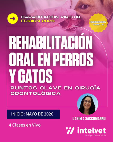INICIADO. Capacitación virtual en Rehabilitación Oral en Perros y Gatos: puntos clave en cirugía odontológica
