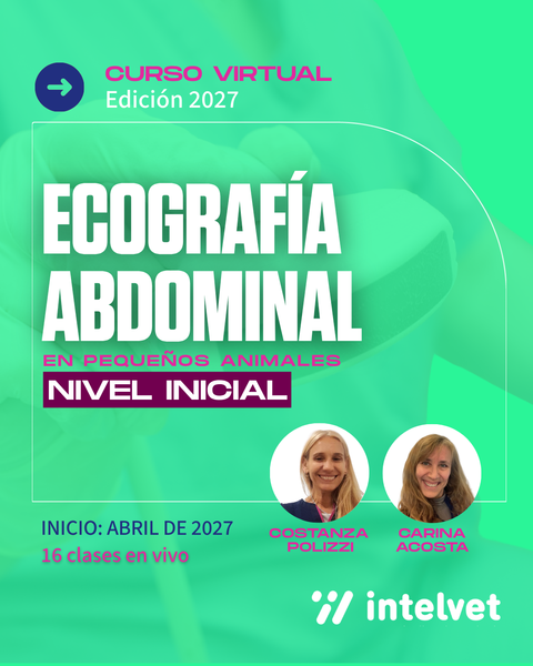 NUEVO! Edición 2027: Curso de Ecografía Abdominal en Pequeños Animales - Nivel Inicial