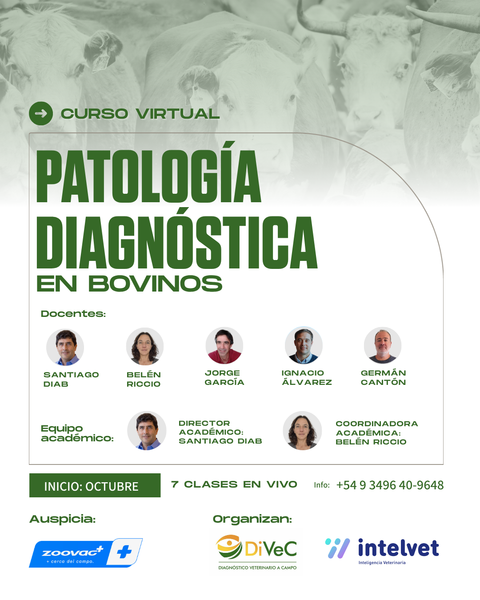 Curso de Patología Diagnóstica y Enfermedades de los Bovinos – Edición 2026