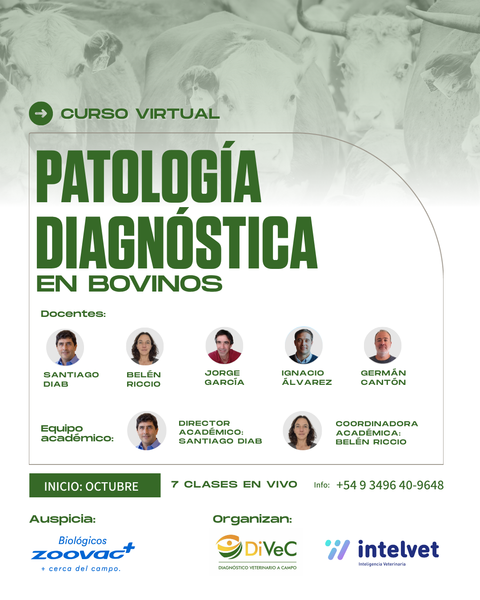 PRÓXIMO INICIO! Curso de Patología Diagnóstica y Enfermedades de los Bovinos – Edición 2026