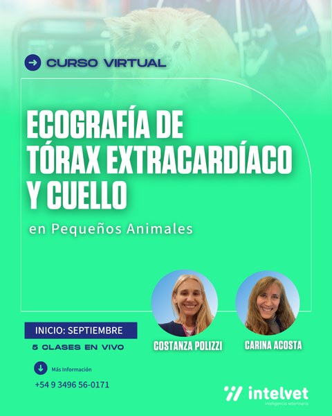 NUEVO! Capacitación de Ecografía de Tórax Extracardíaco y Cuello en Pequeños Animales