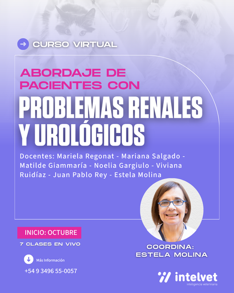 NUEVO CURSO! Abordaje de Pacientes con Problemas Renales y Urológicos. Coordina: Estela Molina