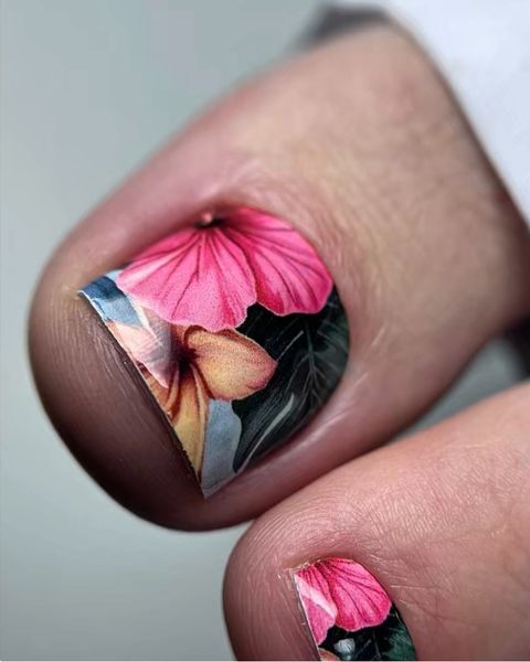 Master Class “Magia de Wraps” con acceso ilimitado 