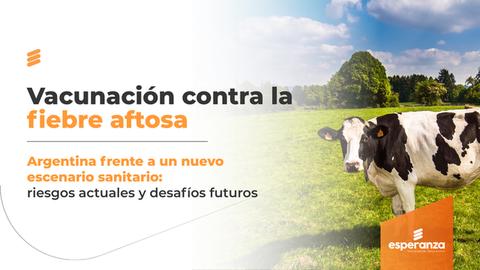 Fiebre aftosa en Argentina: vigilancia, vacunación y prevención