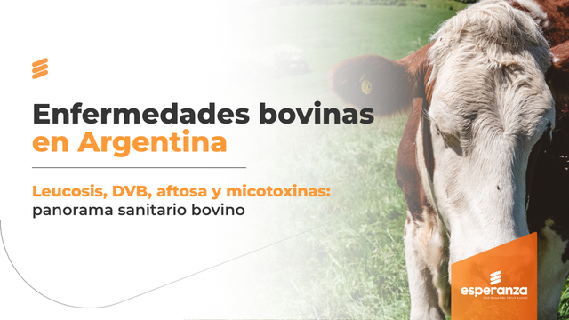Enfermedades bovinas en Argentina: recorrido epidemiológico, riesgos y estrategias de control