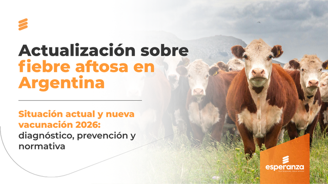 Fiebre aftosa en Argentina: diagnóstico, vacunación y cambios para 2026