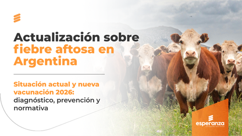 Fiebre aftosa en Argentina: diagnóstico, vacunación y cambios para 2026