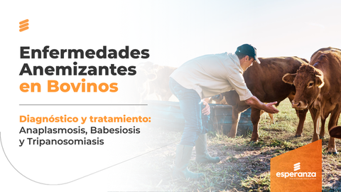 Enfermedades Anemizantes en Bovinos: Anaplasmosis, Babesiosis y Tripanosomiasis