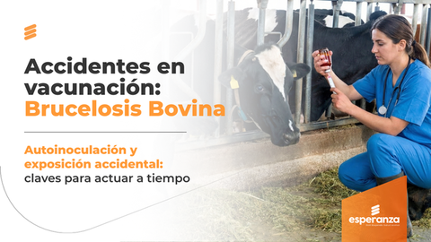 Accidentes en Vacunación contra Brucelosis Bovina: ¿qué hacer ante una autoinoculación?