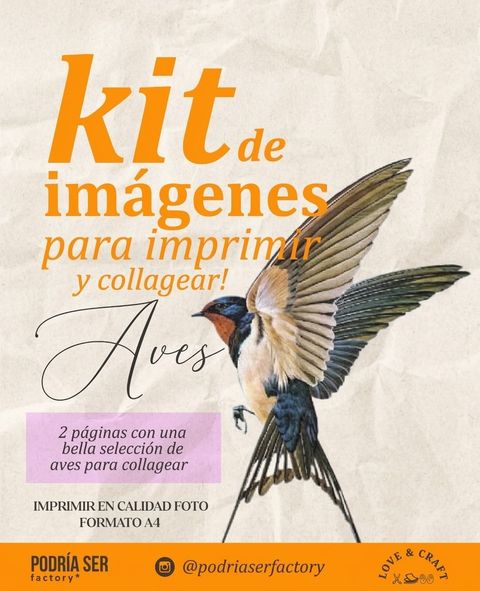 Kit de Imágenes para imprimir / AVES