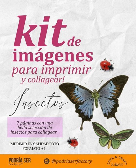 Kit de imágenes para imprimir / INSECTOS